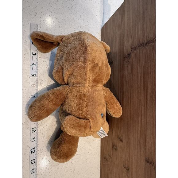 Care Bears 2021 Grumpy Bear Plush with Rear Tag and Logo Dog Suit Rain Cloud - Picture 13 of 15